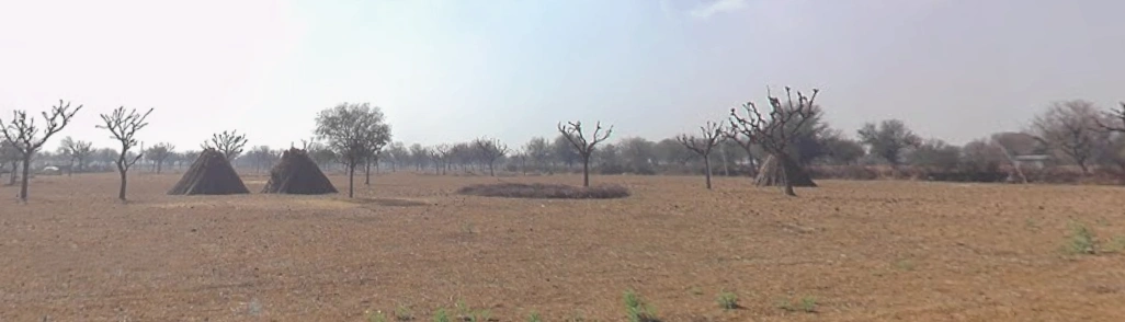 Rulana, Rajasthan, India