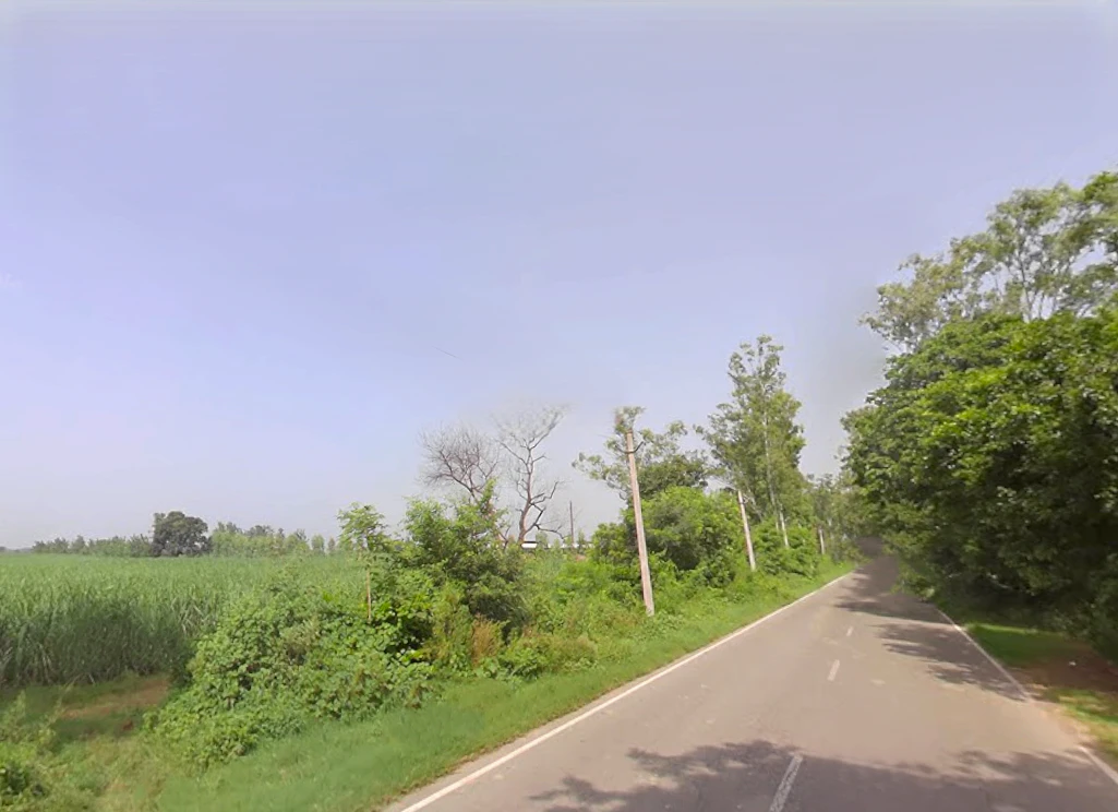 Pepla, Uttar Pradesh, India