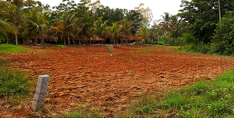 Manchenahalli, Karnataka 561211, India preview 2