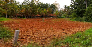 Manchenahalli, Karnataka 561211, India preview 2