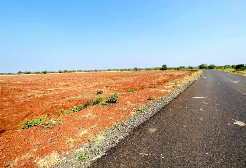 QPWF+7J Angadi Kistapur, Siddipet, Telangana, India