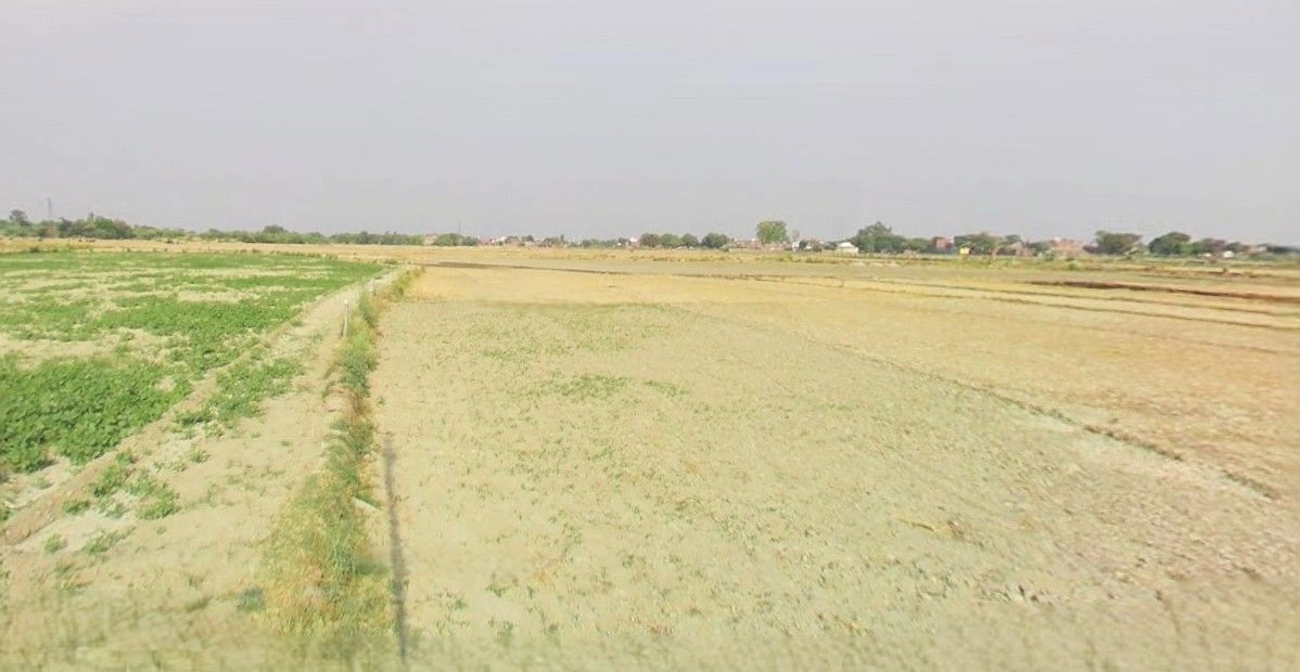 Jewar, Uttar Pradesh 203135, India