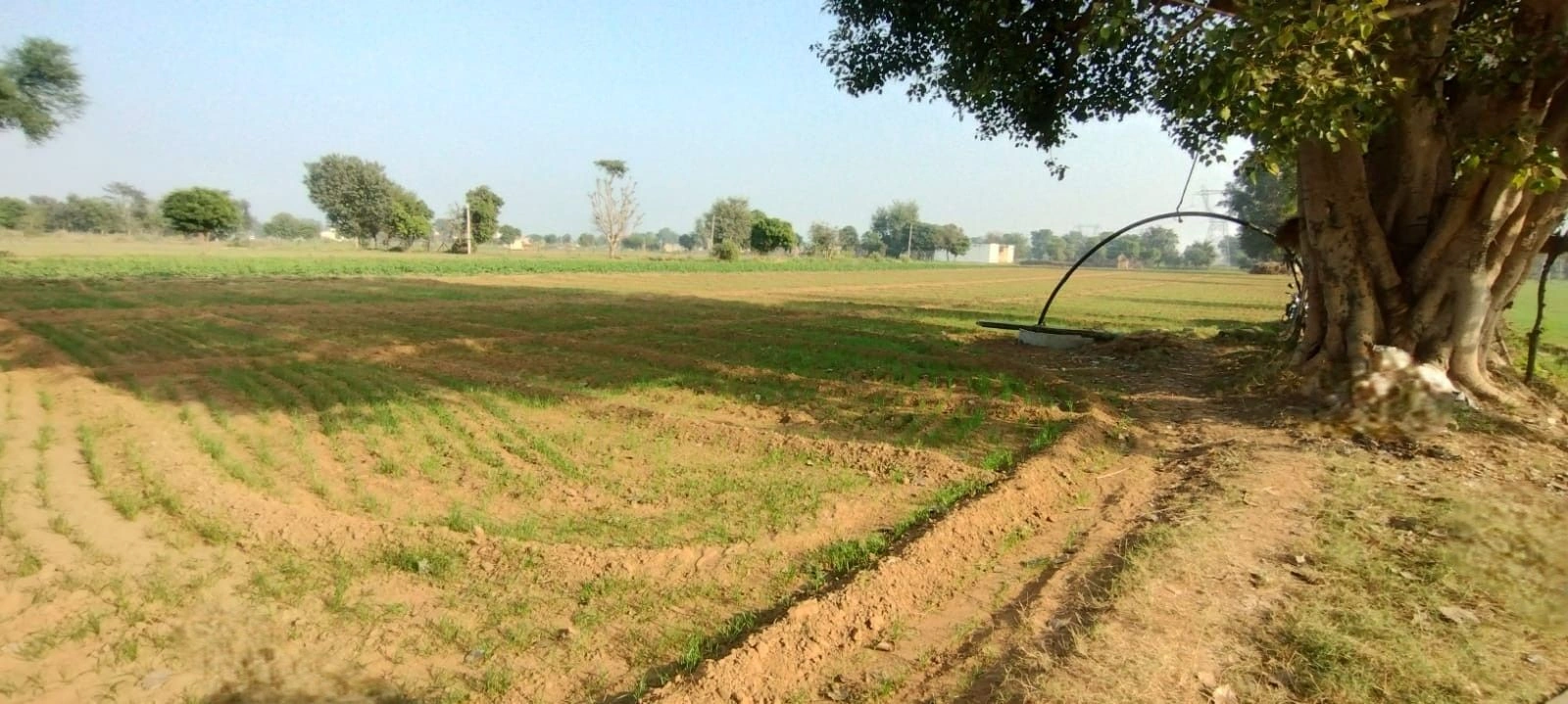 Untwal, Rajasthan 301028, India