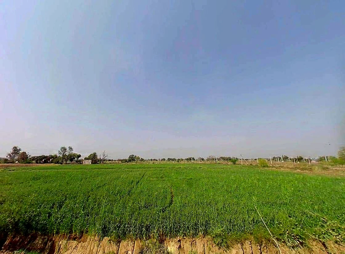 JXHJ+P29, Bhagwanpura, Rajasthan 303901, India