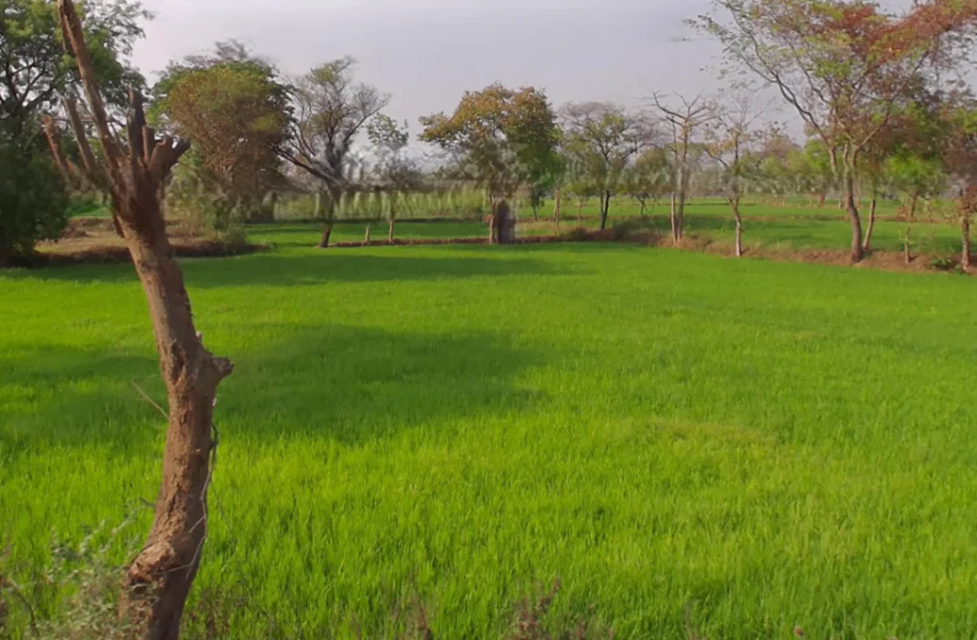 Basin, Chhattisgarh 491340, India preview 3