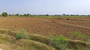 Ujjain, Madhya Pradesh, India preview 3