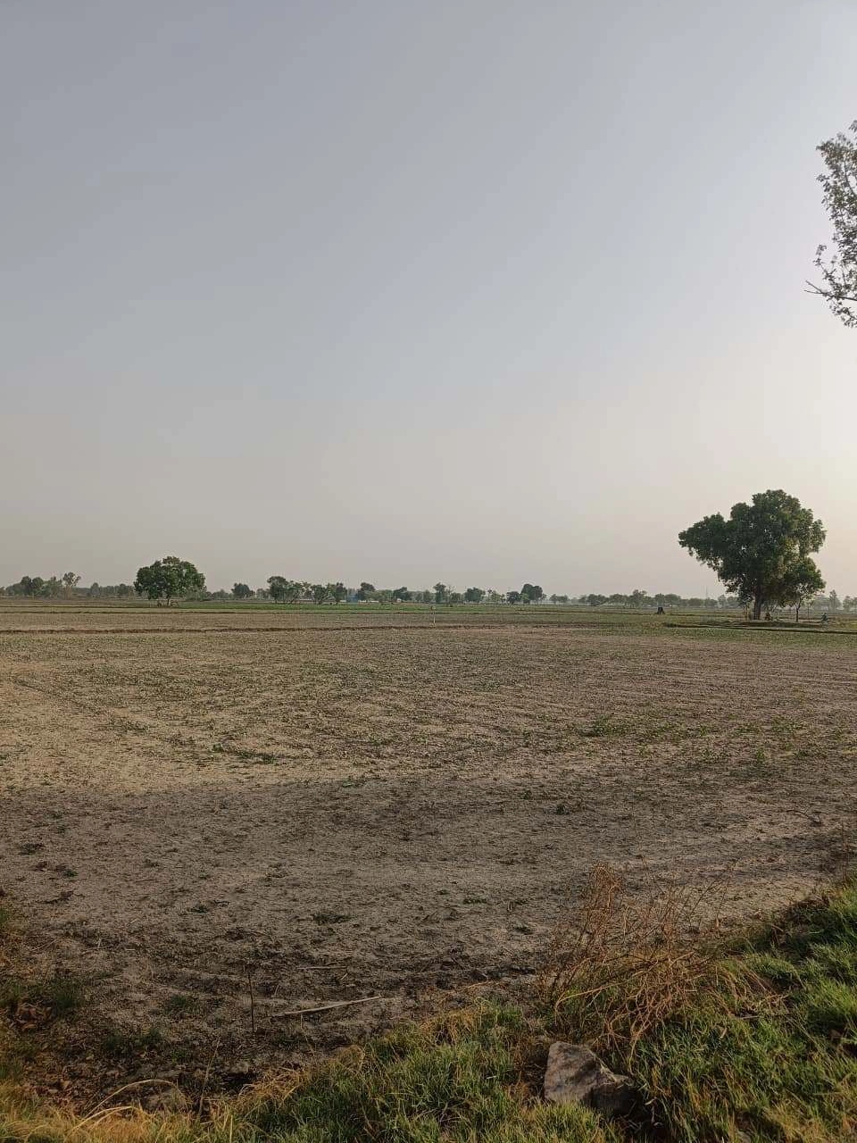 Tentigaon, Uttar Pradesh, India