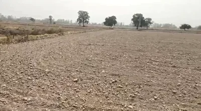 VXHQ+XX Mandauri, Sonipat, Haryana, India preview 3