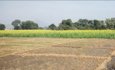 Jikarpur, Aligarh, Uttar Pradesh 202165, India preview 2