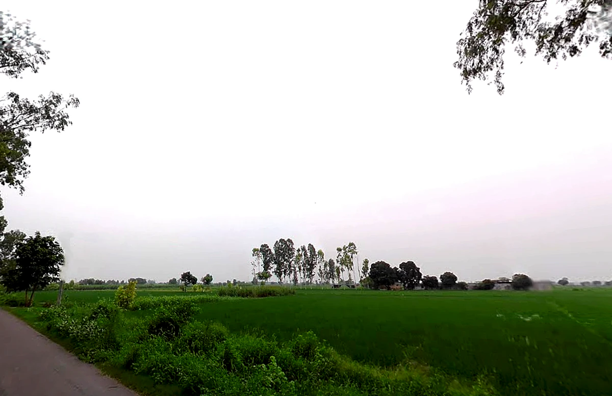 Shahpur, Haryana 132107, India
