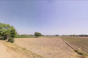 Bass, Haryana 125042, India preview 3