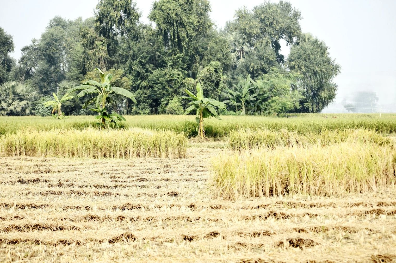 Mandha, Rajasthan, India