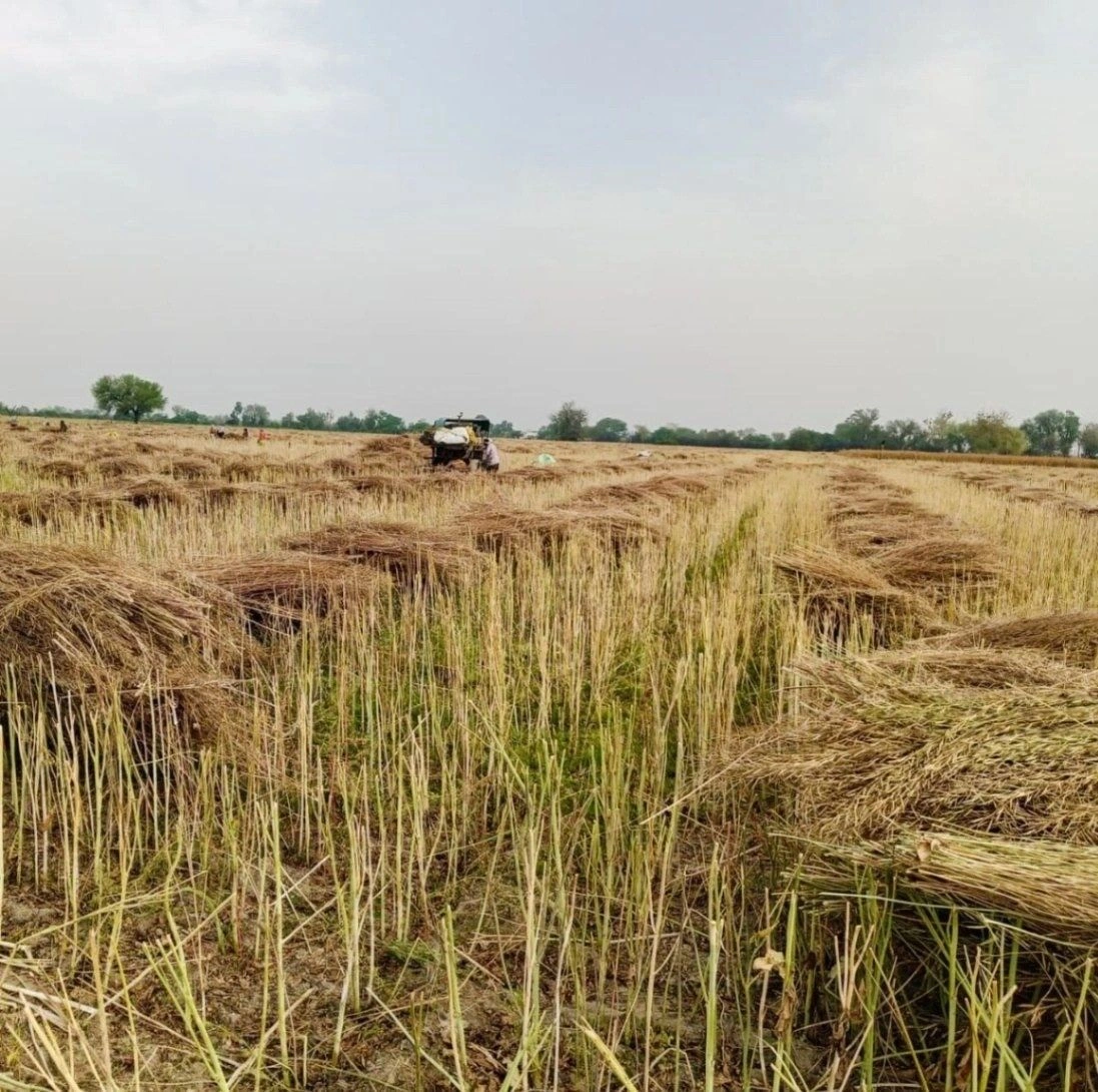 Gharwari, Rajasthan 321201, India preview 2