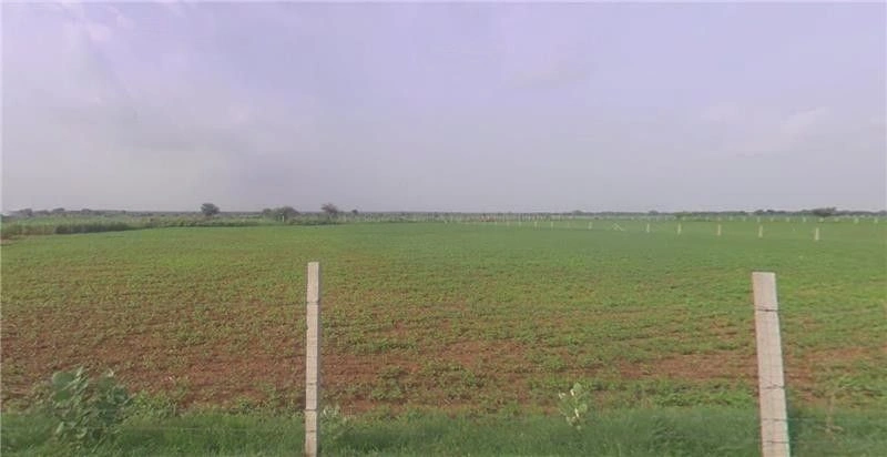 Dharavadi, Gujarat 385340, India