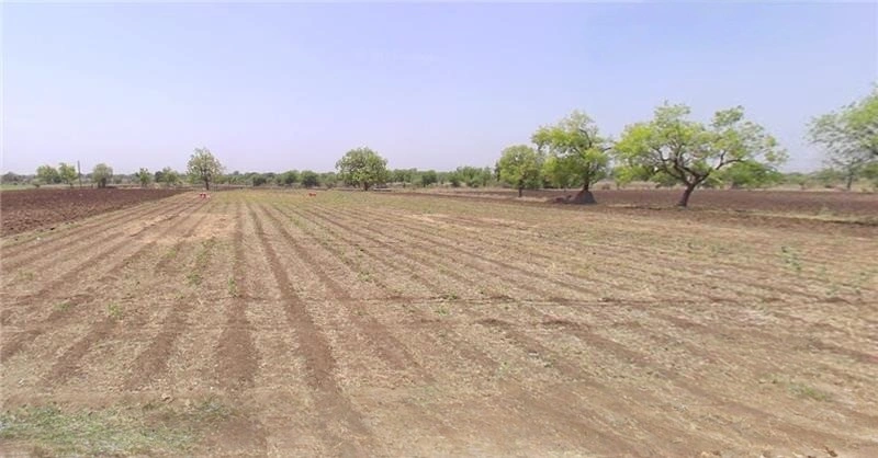 Dhapla, Madhya Pradesh, India