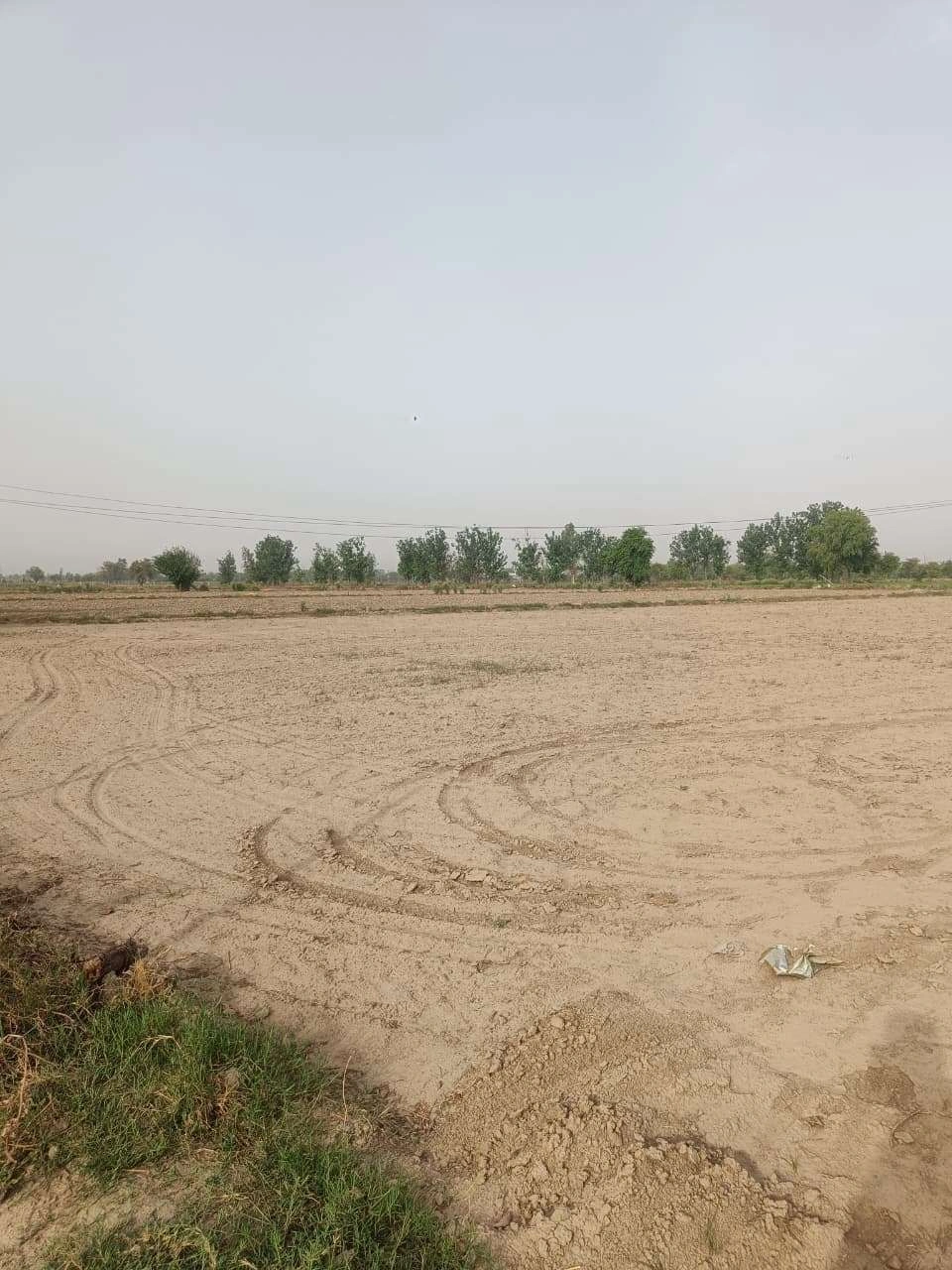 Aou, Rajasthan, India