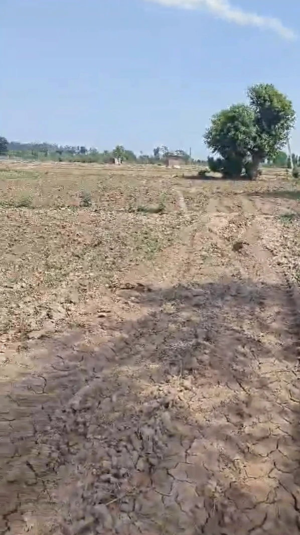 6RFW+5P5, Bor Khandi Khurd, Rajasthan 304021, India