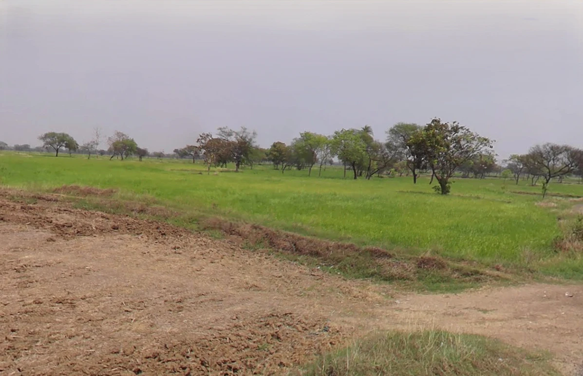 Siltara, Chhattisgarh 491111, India