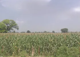 Mala Khera, Rajasthan 301406, India preview 3