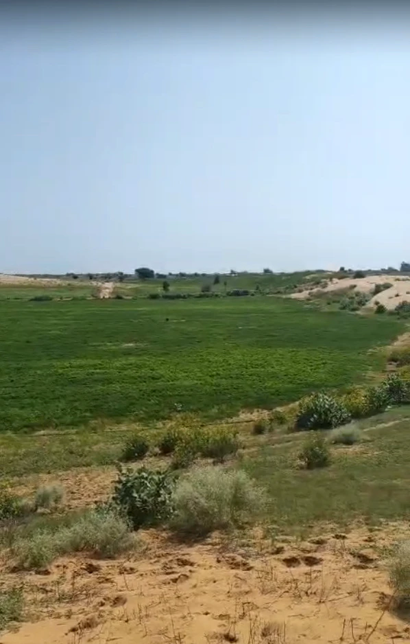 GR64+QW6, Poogal, Rajasthan 334808, India