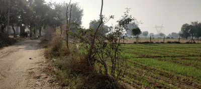 5CJP+7M Dhakha, Lakhimpur Kheri, Uttar Pradesh, India preview 3