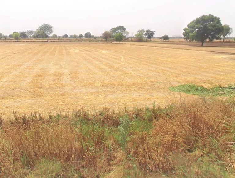 Mutaina, Uttar Pradesh, India