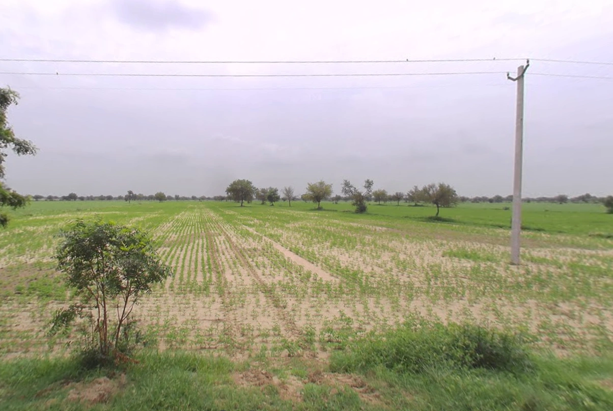 Budak, Haryana 125004, India