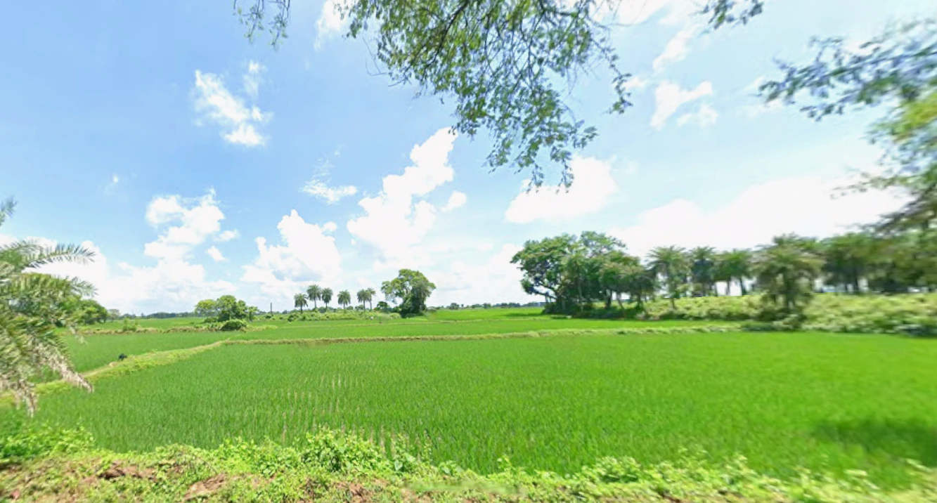 Barjora, West Bengal 722202, India