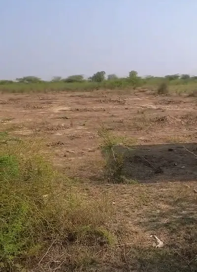 W7J7+47 Barh Chandrana, Rajasthan, India preview 2