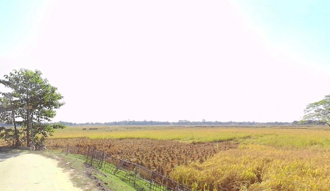 783W+3HV, Morigaon, Assam 782105, India