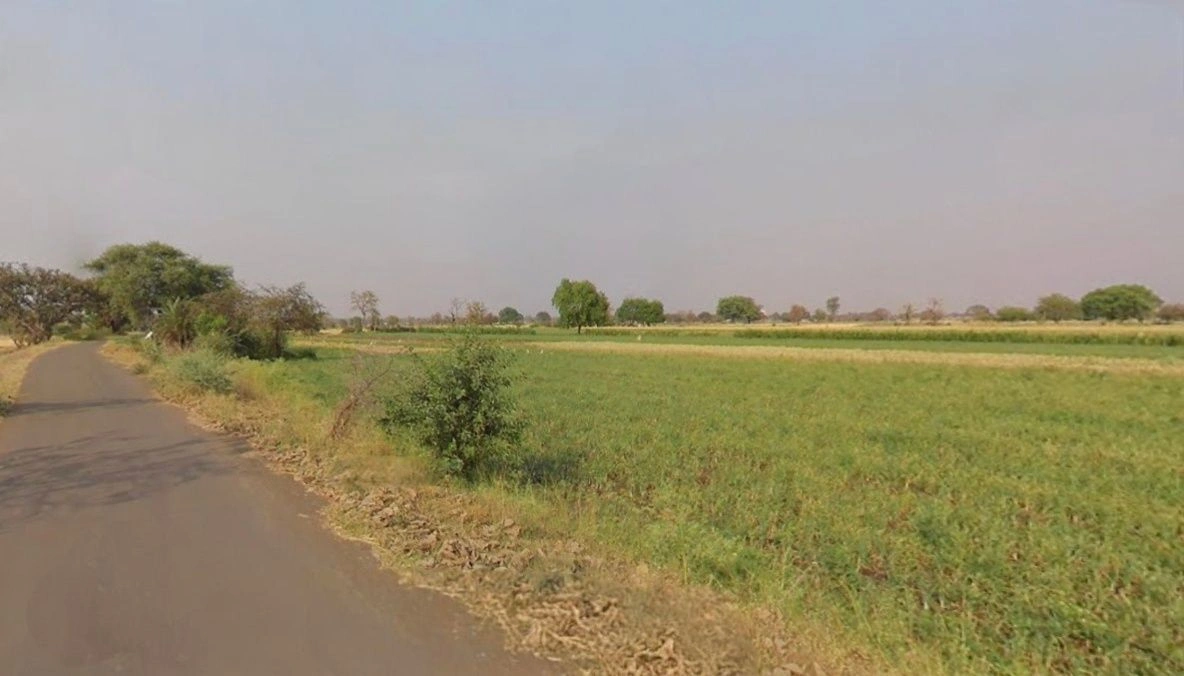 786R+PP9, Banderbela, Madhya Pradesh 456313, India preview 3