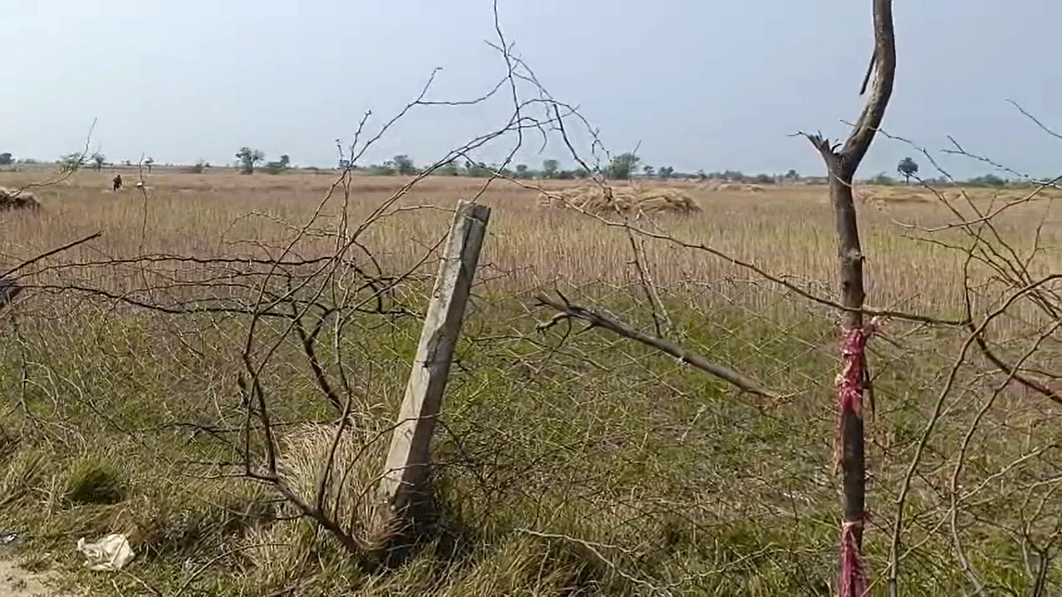 7RQ6+3W Rahimpura, Rajasthan, India