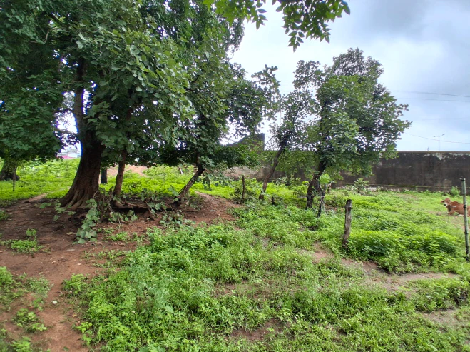 QQVP+85Q, Chhatarpur, NH 39, Ganj, Madhya Pradesh 471105, India