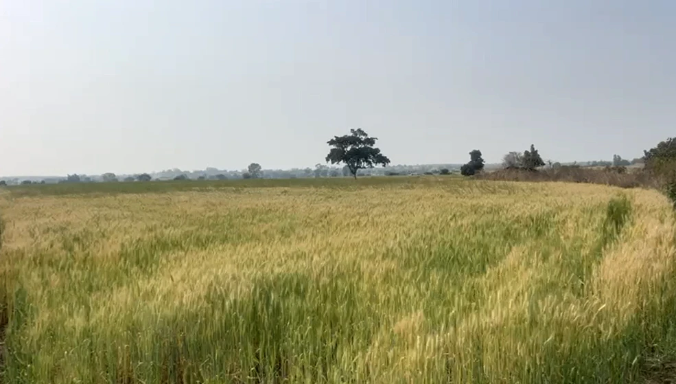 F823+25Q, Bhopal, Unida, Madhya Pradesh, India