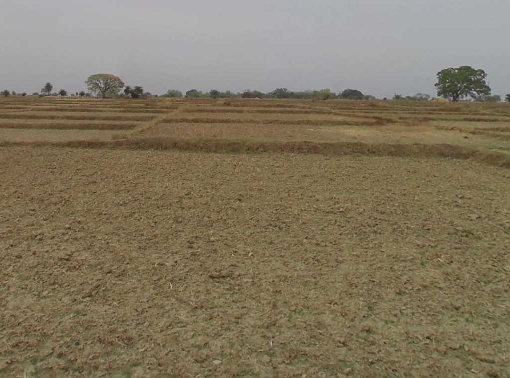 VGPR+436, Bemetara, Gopal Bhoyina, Chhattisgarh 491337, India