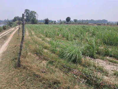 P7P3+H6 Tihura Uparhar, Uttar Pradesh, India preview 3