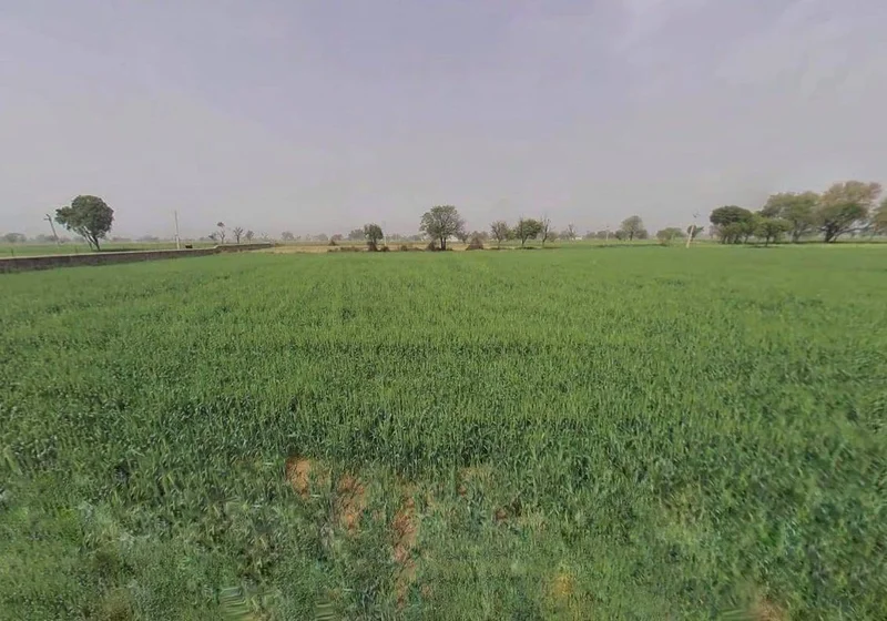 Kairwara, Rajasthan 301406, India preview 3