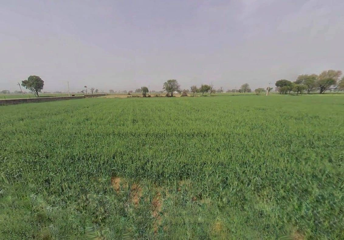 Kairwara, Rajasthan 301406, India