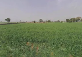 Kairwara, Rajasthan 301406, India preview 3