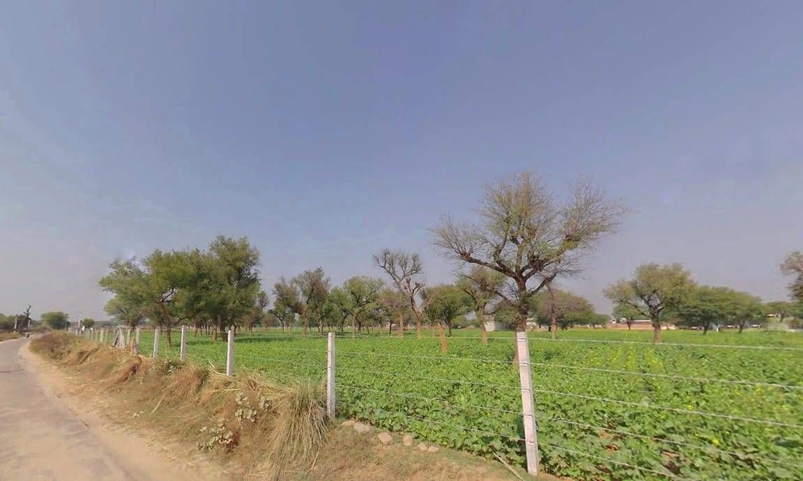 FX43+QRJ, Jalooki, Rajasthan 321205, India preview 2