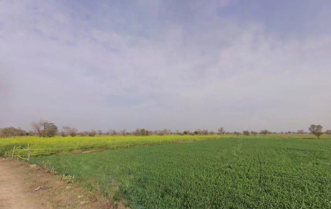 Badka, Rajasthan, India