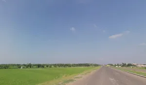 Bihari Bigha, Bihar 803214, India preview 2