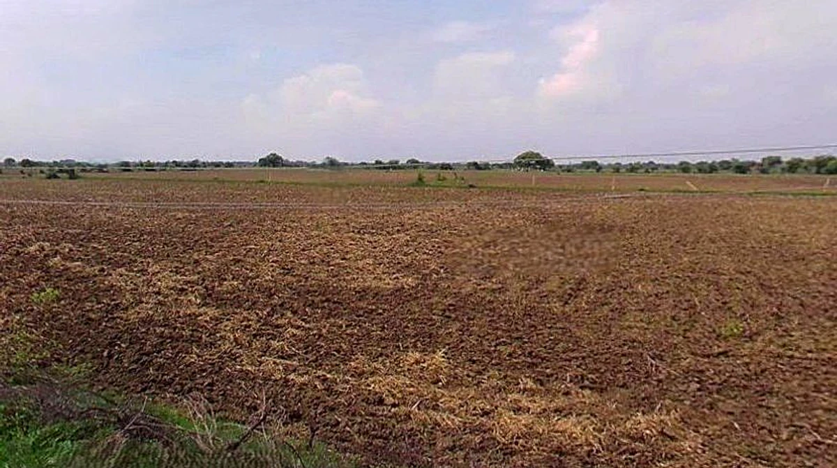 Barsana, Uttar Pradesh 281405, India