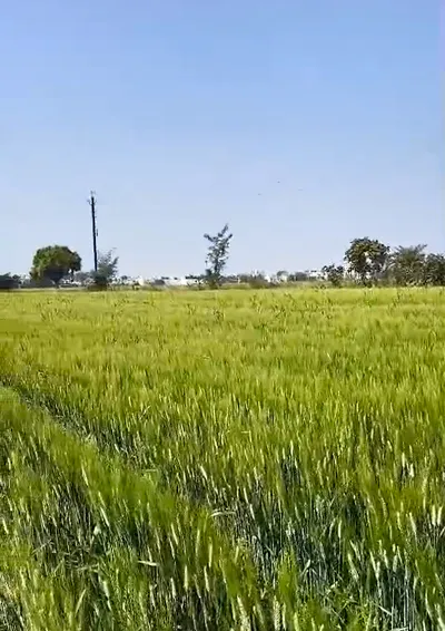 Awadhpuri, Bhopal, Madhya Pradesh 462022, India preview 3