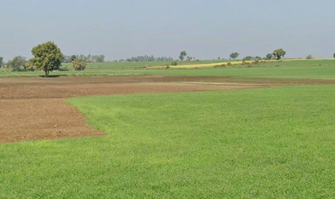 Tala, Madhya Pradesh 484664, India