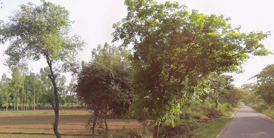Alamnagar, Uttar Pradesh 245208, India