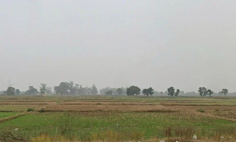 4Q52+XWF, Rewa Rd, Surwal Sahini, Uttar Pradesh 212110, India preview 2