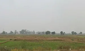 4Q52+XWF, Rewa Rd, Surwal Sahini, Uttar Pradesh 212110, India preview 2