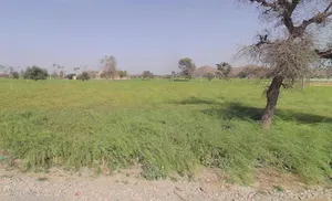 Ramgarh, Rajasthan 301026, India preview 2