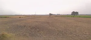 Kurukshetra, Haryana, India preview 2